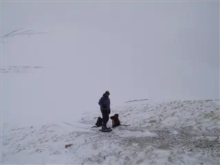 small_000112 quandaryIMG_2747.webp